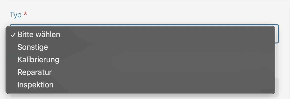 Prüfbericht Typ wählen